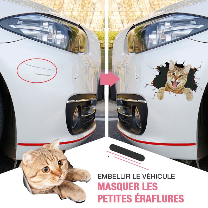 🔥Hot Sale 50% OFF🔥3D D tachable Wall Stickers of Cats