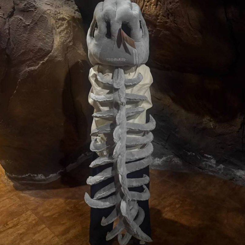 🎃Funny Dinosaur Plush Costume