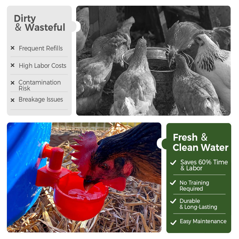 🔥5/16 Inch Thread Automatic Poultry Water Cups