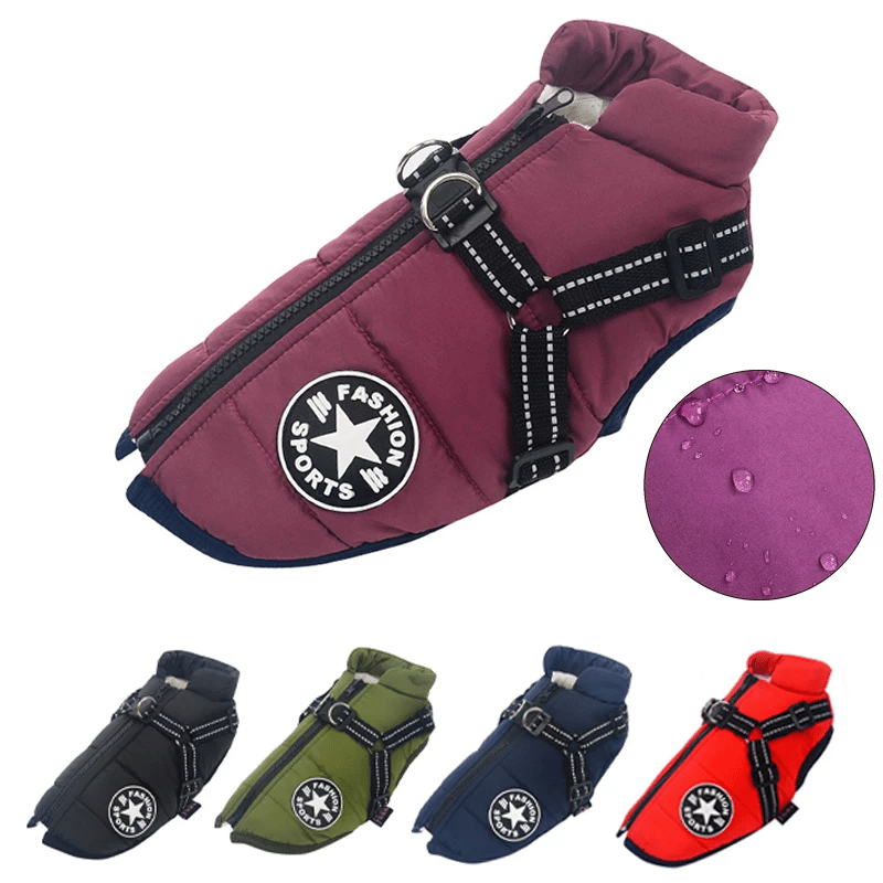 🐶3 in 1 Winter Waterproof Warm Dog Jacket With Built-in Harness