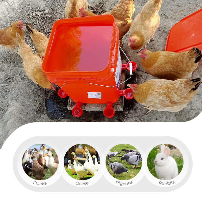 🔥5/16 Inch Thread Automatic Poultry Water Cups