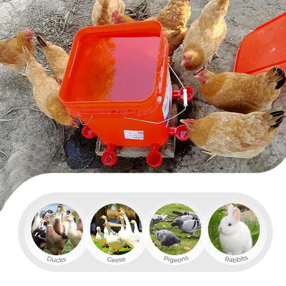 🔥5/16 Inch Thread Automatic Poultry Water Cups