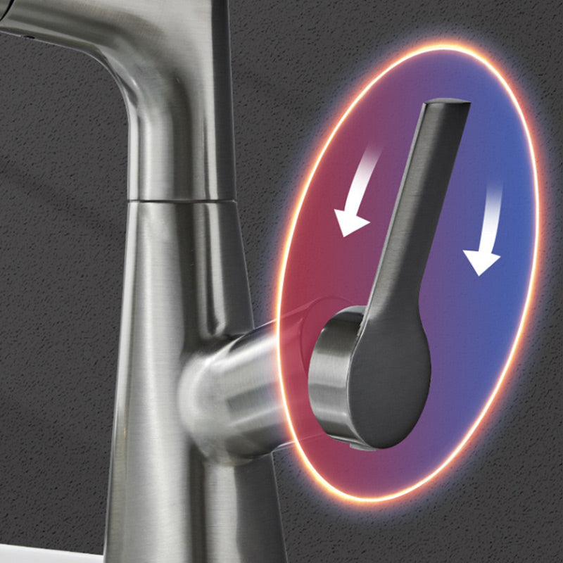 1 Hole Bathroom Faucet with Pull Out Sprayer