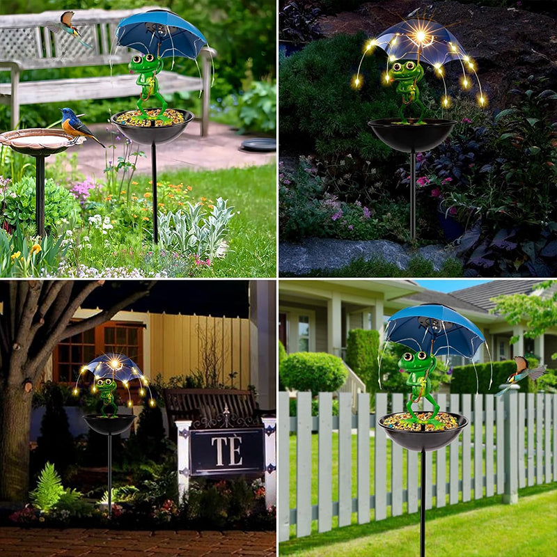 🐸 Creative Garden Decoration