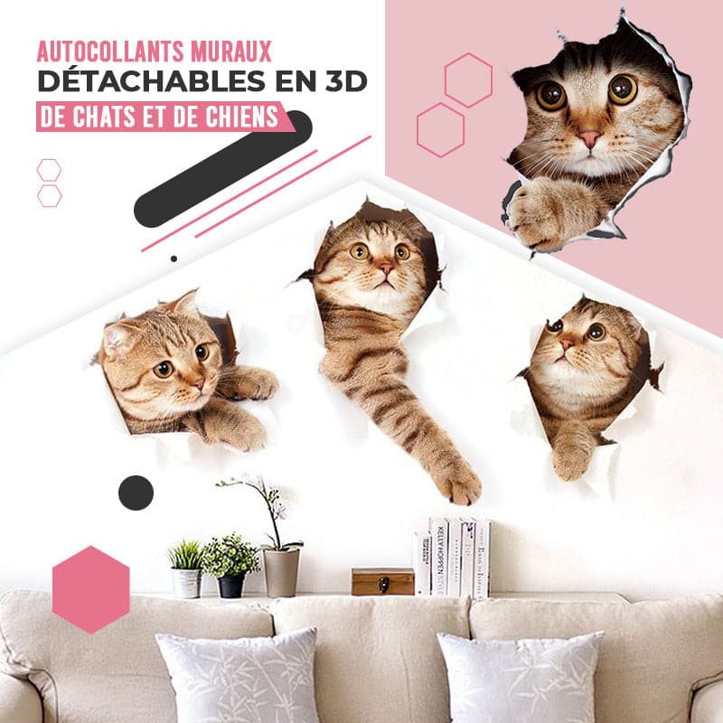 🔥Hot Sale 50% OFF🔥3D D tachable Wall Stickers of Cats