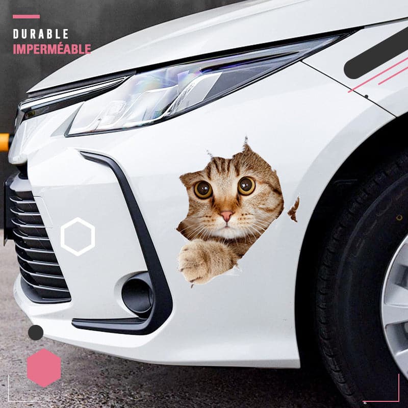 🔥Hot Sale 50% OFF🔥3D D tachable Wall Stickers of Cats