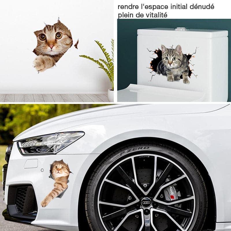 🔥Hot Sale 50% OFF🔥3D D tachable Wall Stickers of Cats