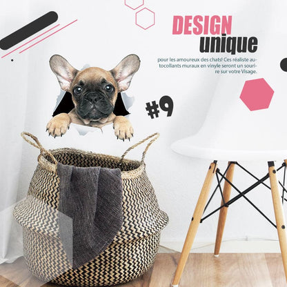 🔥Hot Sale 50% OFF🔥3D D tachable Wall Stickers of Cats