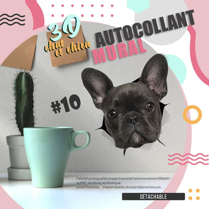 🔥Hot Sale 50% OFF🔥3D D tachable Wall Stickers of Cats