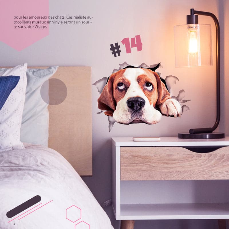 🔥Hot Sale 50% OFF🔥3D D tachable Wall Stickers of Cats
