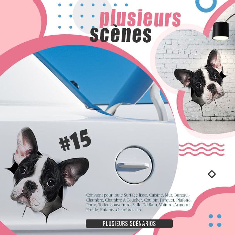 🔥Hot Sale 50% OFF🔥3D D tachable Wall Stickers of Cats