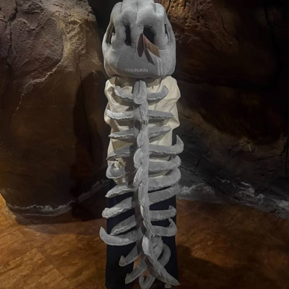 🎃Funny Dinosaur Plush Costume