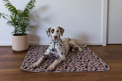 🐶😸Premium Reusable Super Absorbent PuppyPad🐾 (Kitten & Other Pets)