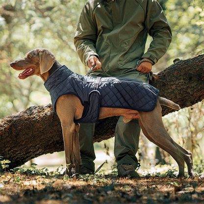 Outdoor Reflective Dog Jacket - Windproof Warm Coat with Secure Leash Opening (Red/Navy)
