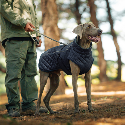Outdoor Reflective Dog Jacket - Windproof Warm Coat with Secure Leash Opening (Red/Navy)