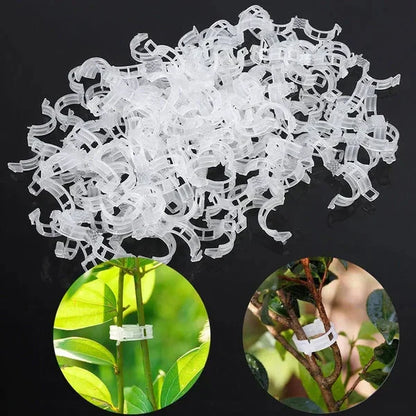 🗜️Clips For Climbing Plants – Plastic tomato ties and plant fasteners 🌱🍅
